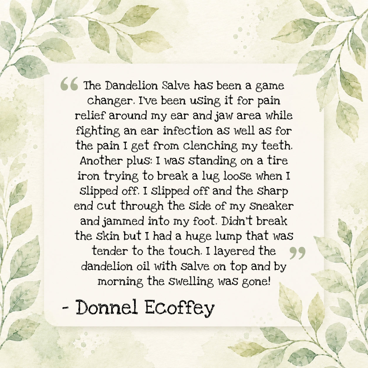 Dandelion Salve 🌼