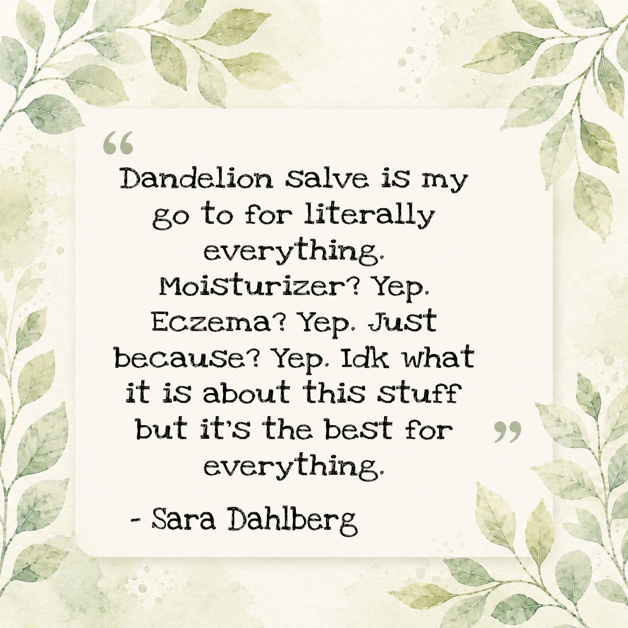 Dandelion Salve 🌼